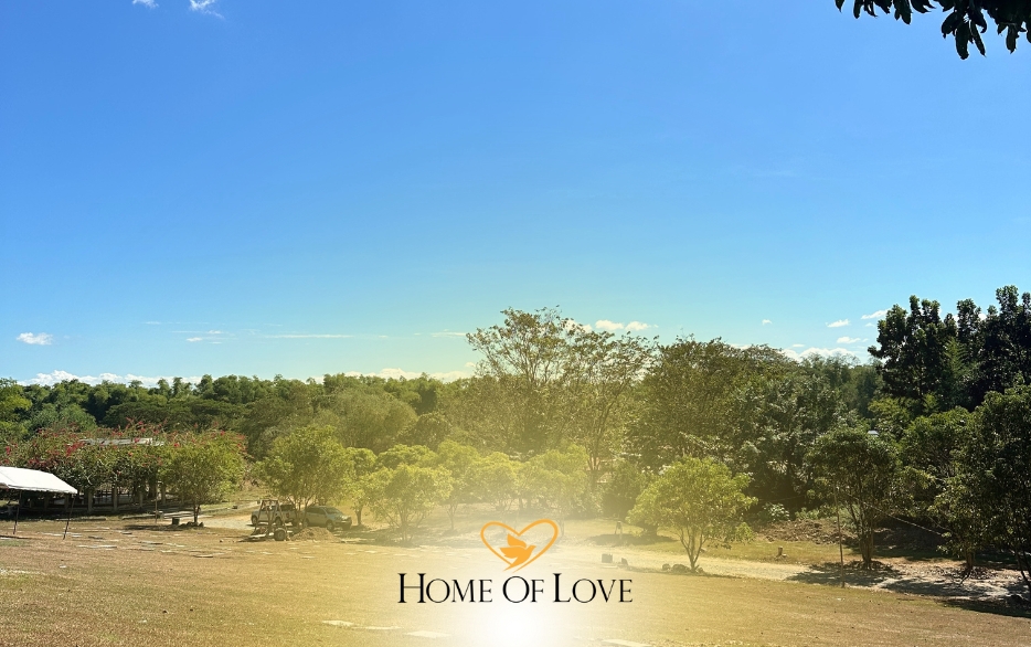 Beyond Grief: Finding Healing and Comfort in Our Memorial Park